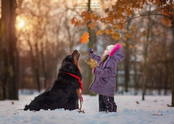 커다란 개와 아이들의 따뜻한 교감