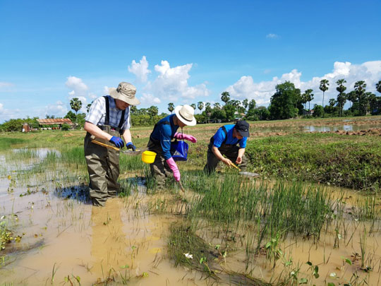 건강관리협회, 캄보디아서 극구흡충류 중간숙주 탐색조사사업 수행