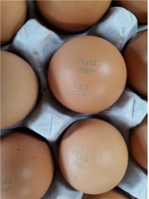 정부, 비펜트린 초과검출 '맑은 계란' 회수 조치