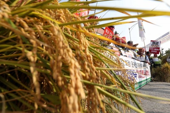 [2017 국감] 이개호 “쌀 정부매입 72만톤으로는 부족… 85만톤까지 늘려야”