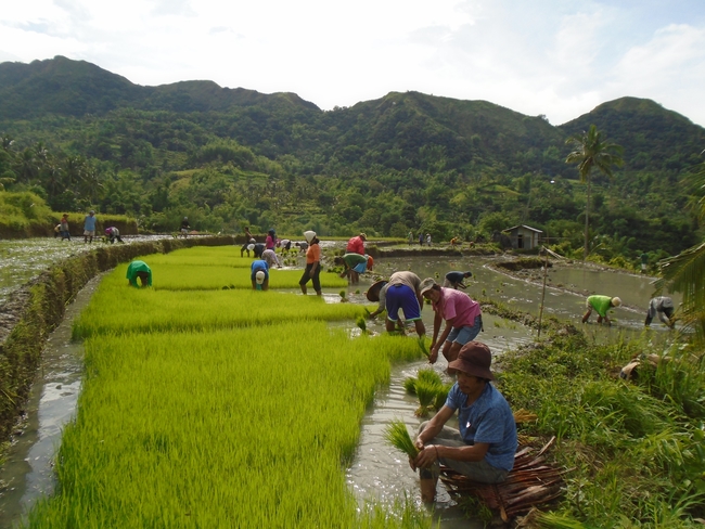 한경대-KOICA, 필리핀 고산지대 마을공동체 개발사업 2단계 마무리 평가식