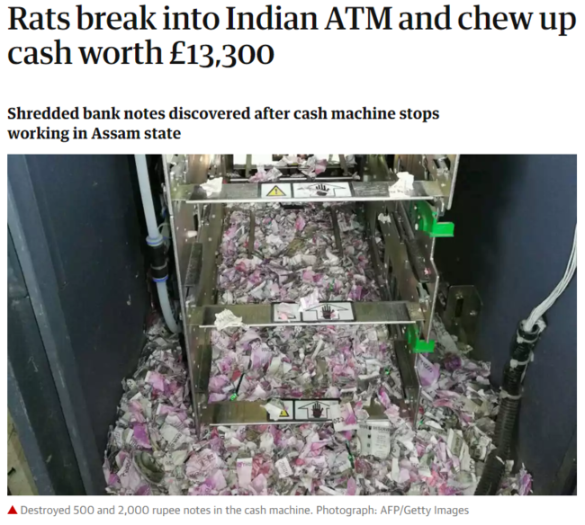 인도 ATM 기기서 현금 1959만원 씹어 먹은 생쥐…“배선 구멍으로 들어가”