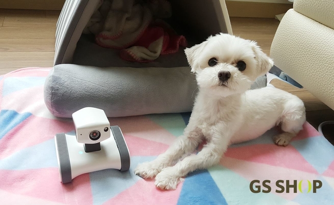 GS홈쇼핑, 우리집 반려동물 지켜주는 CCTV 판매