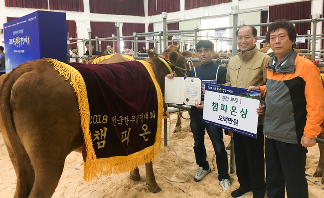 밀양 박희완 농가, 2018 전국한우경진대회 챔피언 수상