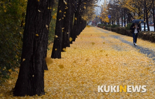 가을이 깊어간다.