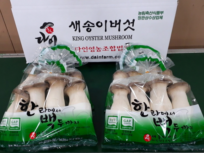 경주 새송이 버섯, 홍콩 수출길 올라