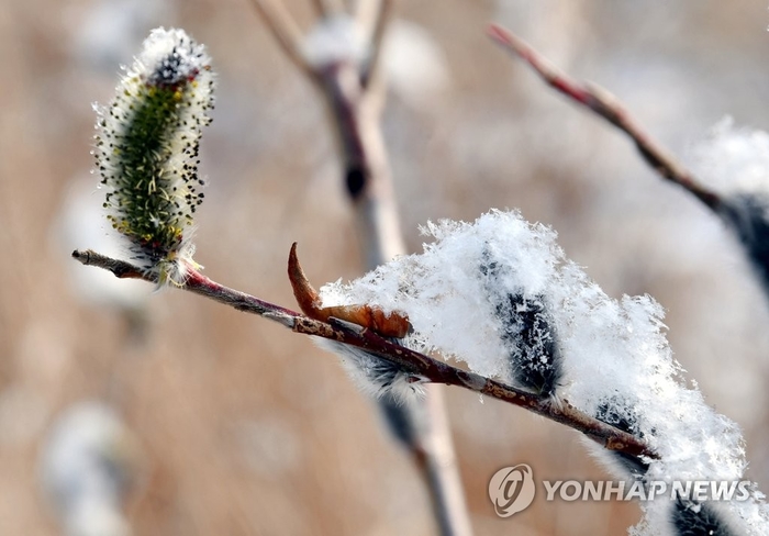 [오늘 날씨] 전국 곳곳 눈 또는 비…서울 최저 -3도