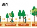 경북도, 공공부문 산림 일자리 300여개 추가제공 