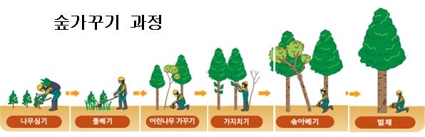 경북도, 공공부문 산림 일자리 300여개 추가제공 