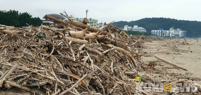 [가봤더니] 산더미 쓰레기로 난민촌 같은 해안 캠핑장