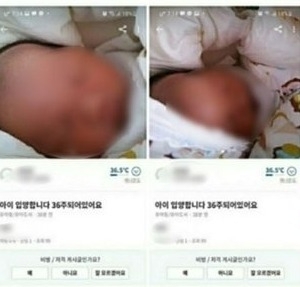 “36주 아이 팔아요” 경찰, 산모 찾았다… 아이 무사