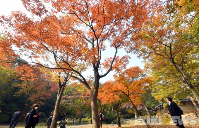 '창덕궁 후원'에서 즐기는 가을풍경