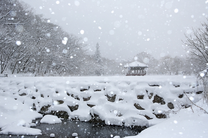 정읍 내장산, 눈부신 설경에 ‘감탄 또 감탄’