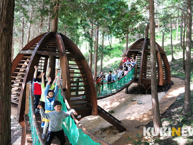 진도군, 30ha규모 편백숲 운림산림욕장 개장