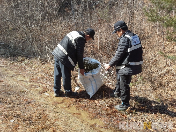 불법행위 근절…북부산림청, 산림보호지원단 선발