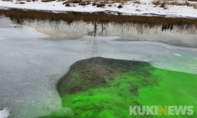 영월 서강에 유입된 '정체불명' 녹색 액체…조사 착수