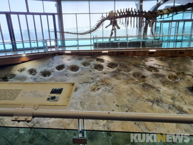 해남 우항리 공룡화석지, 국가중요과학기술자료 등재