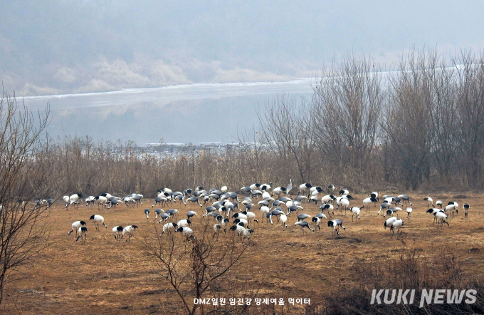 생태관광으로 소멸 위기 넘어선다 [연천을 가다 ②] 