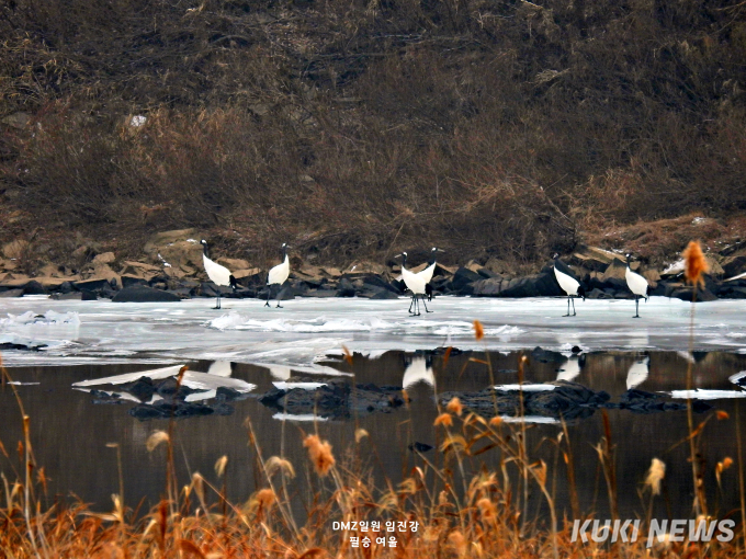 생태관광으로 소멸 위기 넘어선다 [연천을 가다 ②] 