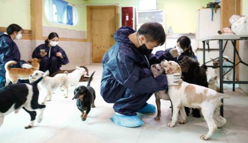 한국마사회 봉사단 유기동물 보호소 봉사활동 펼쳐