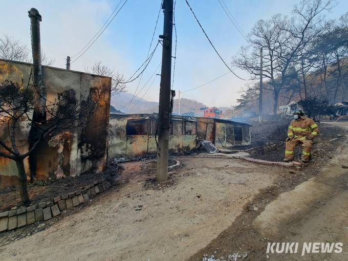 대전 산불 민가 피해 발생...공무원 총동원