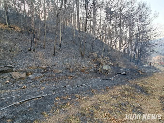 대전 산불 민가 피해 발생...공무원 총동원