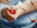 [단독] 말라리아 위험지역 ‘헌혈 방식 규제’ 1년 통합 적용 검토 