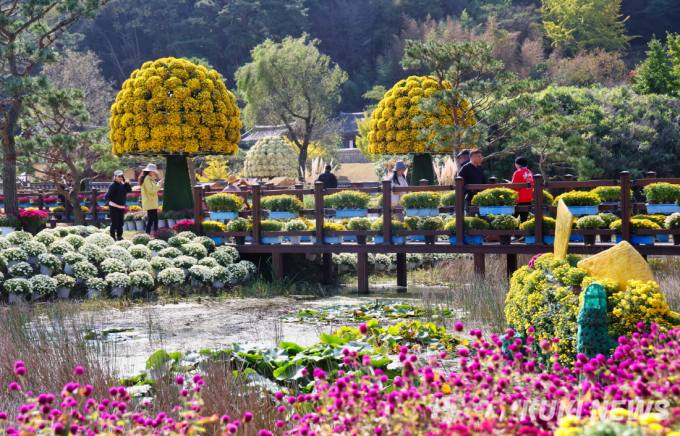 3만 7000명이 찾은 ‘꽃과 바다 태안 국화축제’ 성료 