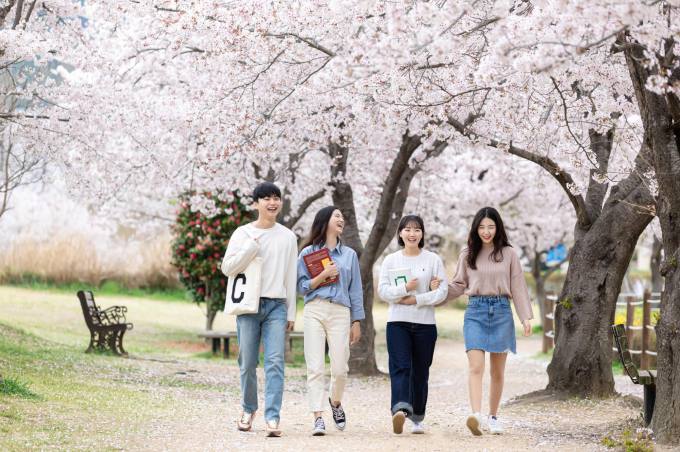 창원대, 청운지 벚꽃축제 개최 