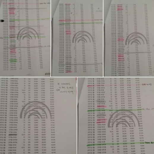 김부선 페이스북