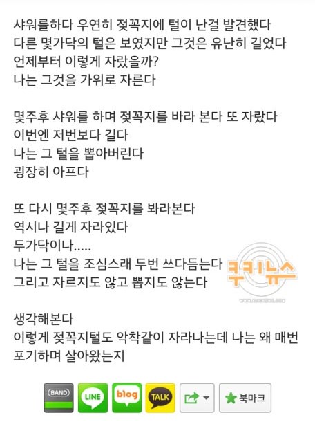 인터넷 커뮤니티 캡처