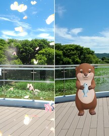 아산 신정호정원 ‘달빛누리교’ 증강현실 포토존 첫선