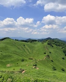 한국판 스위스라 불리는 정선 민둥산, 직접 올라가 보니